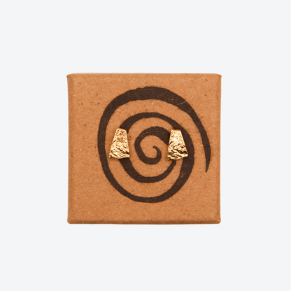 gold earrings on a white background