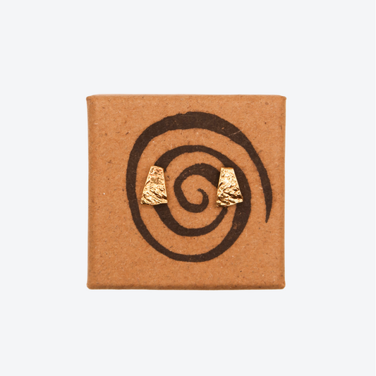 gold earrings on a white background