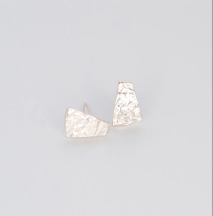 Pair of silver earrings on a light gray background